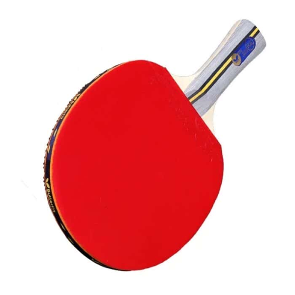 Butterfly 2 Star Table Tennis Racket