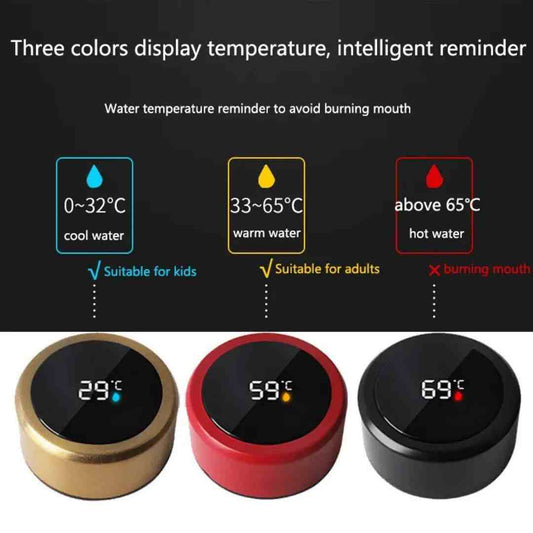 LED Digital Smart Water Bottle